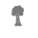 6 oak tree maturity NO-TEXT